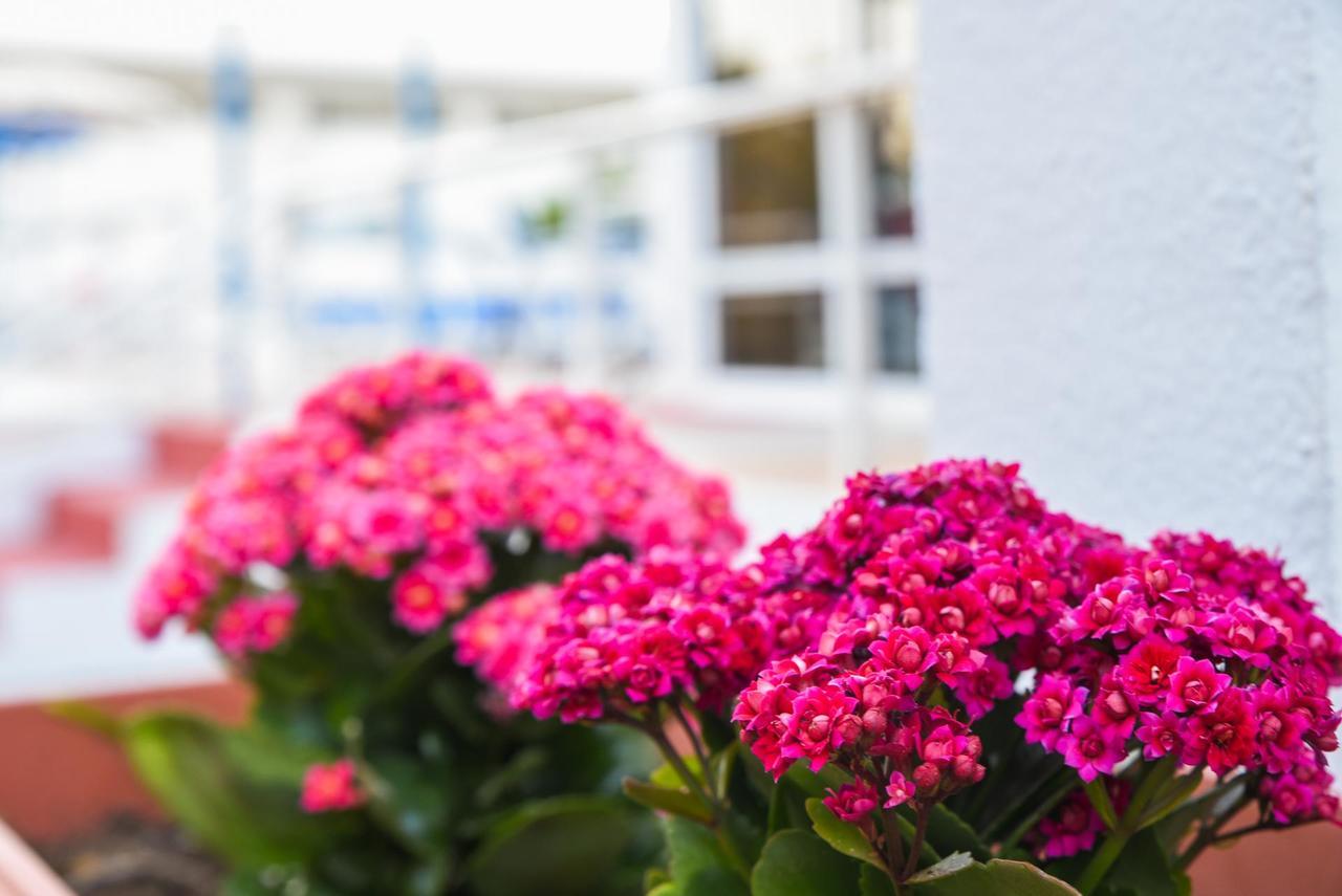 Lagonas Beach Hotel Apartments Faliraki Exterior photo